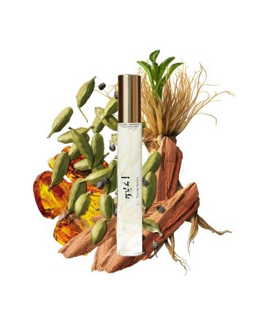 Caswell-Massey Legacy Eau de Parfum Discovery Set Includes VI 2571 & OAIRE Indulge in Enduring Modern Scents Long-Lasting Men s Fragrances Travel Size Set Perfume for Men 0.25 Fl Oz Each Legacy Trio 0.75 Fl Oz (Pack of 1) - Buy Online on GoSupps.com