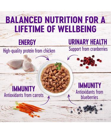Wellness Healthy Indulgence Natural Grain Free Wet Cat Food - Chicken & Turkey Morsels 3oz Pouch (Pack of 24) - Buy Online on GoSupps.com