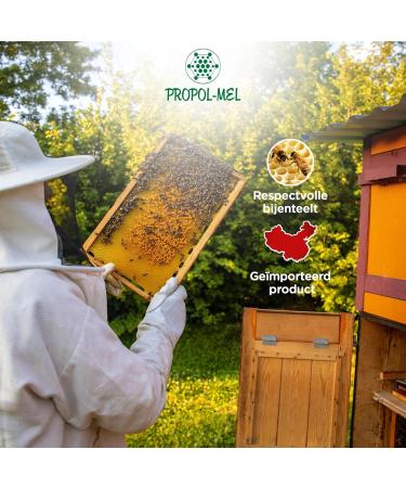 Propolmel 100 Natural Lotus Flower Pollen 500 grams From Residue Free Bees Source of Proteins Amino Acids Lipids Vitamins and Minerals - Buy Online on GoSupps.com