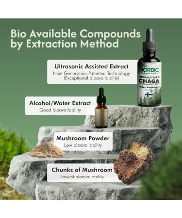 Chaga Organic Mushroom Extract - Next-Gen Ultrasound Extraction, Wild Harvested in Arctic Finland, 100% Fruiting Body, Ultra Potent Tincture for Immune, DNA & Gut Health Support, USDA Certified, 50ml Organic Wild Chaga - Buy Online on GoSupps.com