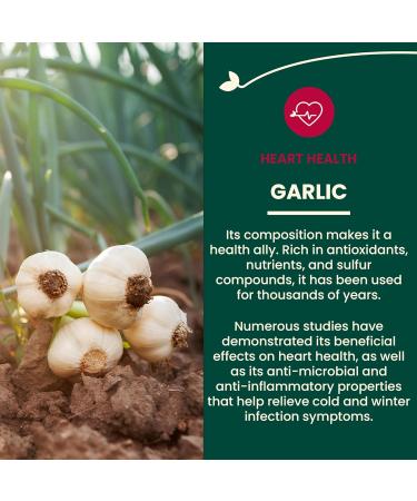Adrien Gagnon - Garlic Extra-Strength High Concentration Odorless 5 000 mcg Allicin For regulating blood lipid levels - 100 Count - Buy Online on GoSupps.com