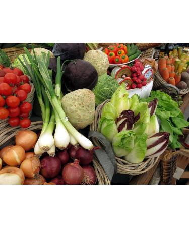 Hair analysis Allergy check/Lactose intolerance Gluten intolerance/Heavy metal contamination/Nutrient and vitamin deficiency - test your hair now