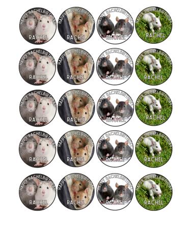edible 20 x Animal CHINCHILLA Personalised cupcake toppers UNCUT (WAFER CARD)