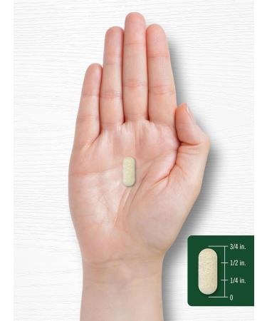 Carlyle Antioxidants Supplement | 100 Caplets | Nutritional Complex | Vitamin A C E | Non-GMO Gluten Free Formula - Buy Online on GoSupps.com