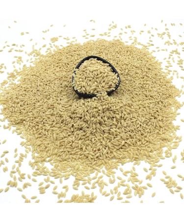 Organic Orzo (Risoni) - Certified Organic Non-GMO Vegan No Additives No Preservatives Resealable Bag by Thames Organic 1kg - Buy Online on GoSupps.com