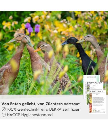 Premium Leim ller Duck Food Grains 5 kg - 100% GMO-Free Bird Feed for Ducks Geese & Ducklings - Starter & Chick Lining - Buy Online on GoSupps.com