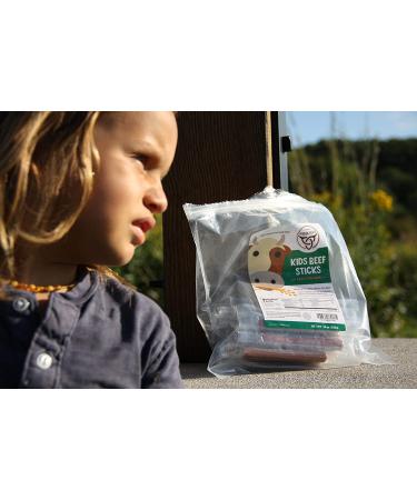 Mission Meats Kids Snacks Sugar Free Grass Fed Beef Sticks Gluten Free Paleo Healthy School Snacks for Kids Meat Sticks Beef Jerky Zero Sugar Protein Snacks Keto Snacks Snack Packs Lunch Snacks Tasty Original Grass Fed Beef Kids Sticks 0.5 Ounce (Pack of  - Buy Online on GoSupps.com