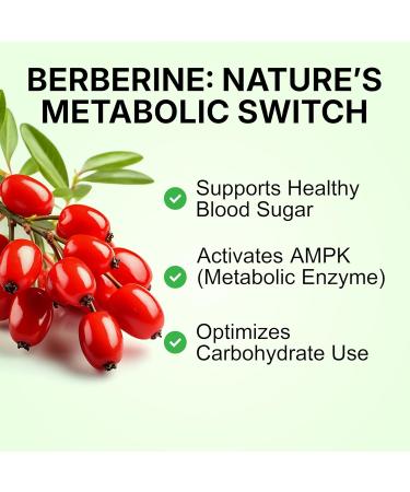 Pure Prana Ayurvedic Weight Management - Plant-Based Metabolism Support with Garcinia Cambogia Green Tea Berberine & Guggul - Natural Fat Burner & Appetite Control - 60 Vegan Capsules - Buy Online on GoSupps.com