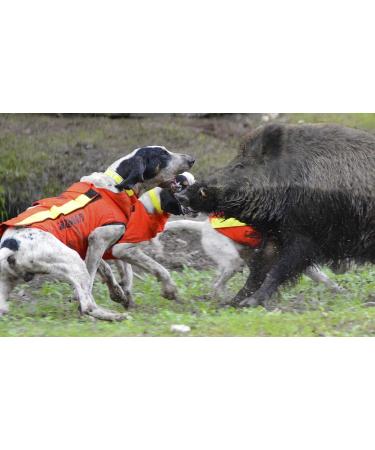 CANIHUNT Dog Protection Vest - Dog Armor v2 (65) | Premium Safety Gear for Your Dog - International Shipping Available - Buy Online on GoSupps.com