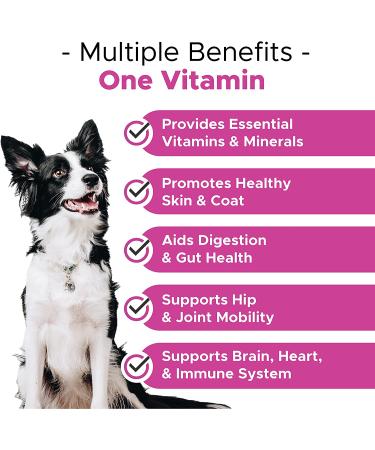 PetHonesty 10 in 1 Dog Multivitamin with Glucosamine - Essential Supplements for Dog Health & Heart - Omega Fish Oil, Probiotics, Chondroitin - Chicken Flavored Dog Vitamins - Buy Online on GoSupps.com