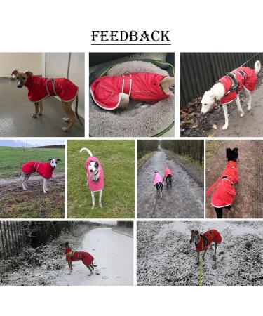 Red Greyhound Winter Coat with Padded Fleece Lining | Water Resistant Dog Jacket - Medium (56-58CM) - Buy Online on GoSupps.com