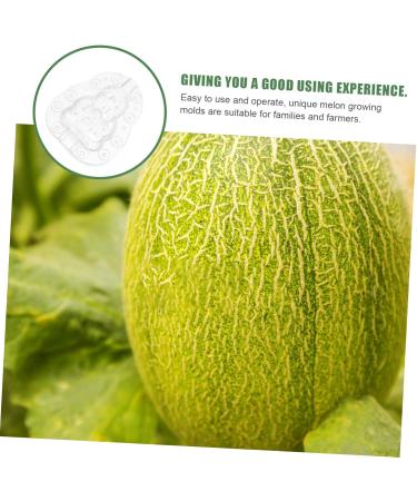 GANAZONO 9 Pcs Vegetable Mold Fruit Shaper Planting Vegetable DIY Cucumber Watermelon 9x8cmx3pcs Transparentx3pcs - Buy Online on GoSupps.com