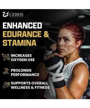 Cerus Performance Flow Stimulant-Free Endurance Pre-Workout Boosts Stamina Supports Heart Health with Natural Herbs Vegan-Friendly - 2 Fl Oz - Buy Online on GoSupps.com