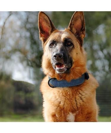 Didog Blue Leather Dog Collar - Soft Padded Adjustable Stainless Steel Buckle - XL (40-50 cm) for Small Medium & Large Dogs - Buy Online on GoSupps.com