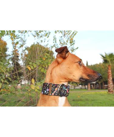 Buy candyPet Martingale Dog Collar - Science SS Model | 4 cm Width 30-40 cm Diameter - International Shipping Available - Buy Online on GoSupps.com