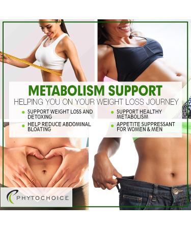 Green Tea Extract - Natural Appetite Suppressant for Weight Loss - Fat Burner Pills - Diet Pills for Fast Results - Belly Fat Burning Capsules - Buy Online on GoSupps.com