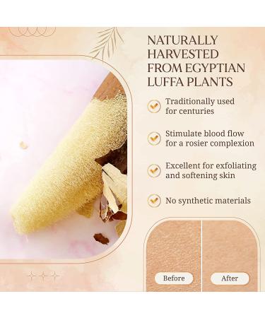 Egyptian Natural Loofah Sponge Exfoliating Body Scrubber - Gentle & Vegan Luffa Sponges for Deep Cleansing - 6x6 Inches - 4 Pack - Buy Online on GoSupps.com