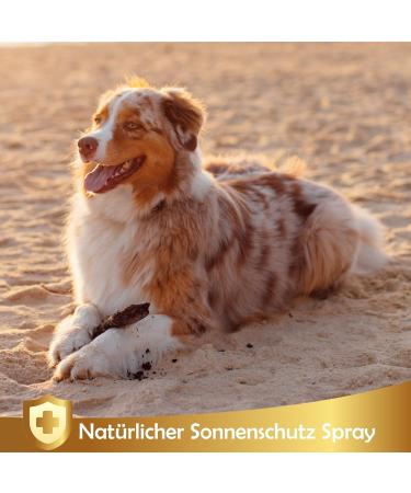 Natural Sun Protection Spray for Dogs & Cats | 250ml Sunscreen Fluid - Linea 101 - Buy Online on GoSupps.com