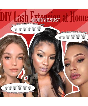 Goddvenus Eyelash Extension Kit - 320Pcs Cluster Lashes, DIY Individual Eyelashes, Bond, Seal, Remover & Tweezers Included - Buy Online on GoSupps.com