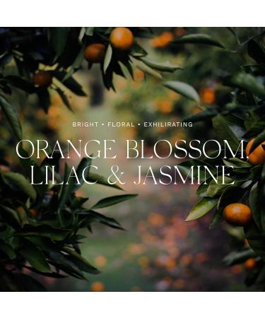 Antica Farmacista Home Ambiance Orange Blossom Lilac and Jasmine 8.45 Fl Oz - Buy Online on GoSupps.com