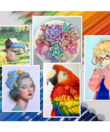H & B 120-Color Colored Pencils Set with Coloring Book: Ideal for Drawing and Coloring - Soft Oil-Based Cores - Adults Kids Beginners - Includes Eraser and Sharpener - 120 Count - Buy Online on GoSupps.com