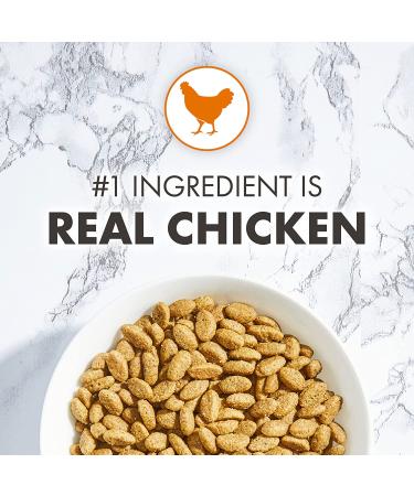 Nutro Wholesome Essentials Indoor and Sensitive Digestion Dry Cat Food  Chicken Indoor Adult 5 Pound (Pack of 1) - Buy Online on GoSupps.com