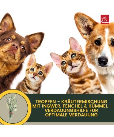 Intestinal Cure Dog Active Herbs Drops I First Aid Digestion - Gastrointestinal Intestinal Flora I Restorative Food - Diarrhea Flatulence I Intestinal Sanitation 30ml - Buy Online on GoSupps.com