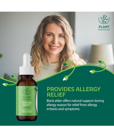 Plant Stem Cells Gemmotherapy Immune Boost | Black Elder (Elderberry) Echinacea & Yarrow | Natural Immune Support Metabolic Health Menses Health Detoxification and Wellness* Daily Multivitamin - Buy Online on GoSupps.com