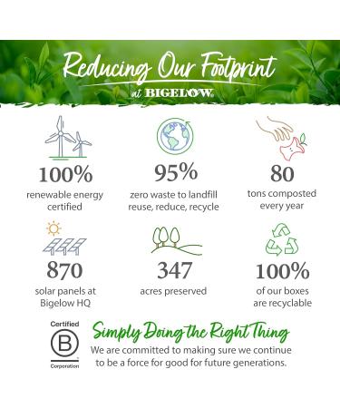 Bigelow Green Tea with Ginger Plus Probiotics 18 Tea Bags - Buy Online on GoSupps.com