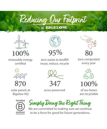 Bigelow Tea Matcha Green Tea with Turmeric Caffeinated 18 Count Box - Pack Of 6 - Buy Online on GoSupps.com