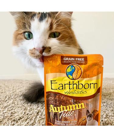 Earthborn Holistic Autumn Tide Tuna & Pumpkin Grain-Free Cat Food Pouches - Case of 24 - Buy Online on GoSupps.com