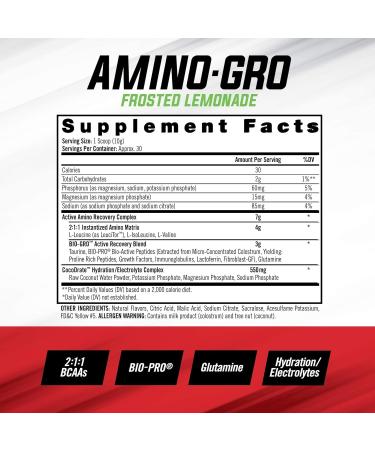 iSatori Bio-GRO Protein Synthesis Amplifier - Unflavored (60 Servings) & iSatori Amino-GRO BCAA Powder - Frosted Lemonade (30 Servings) - Buy Online on GoSupps.com