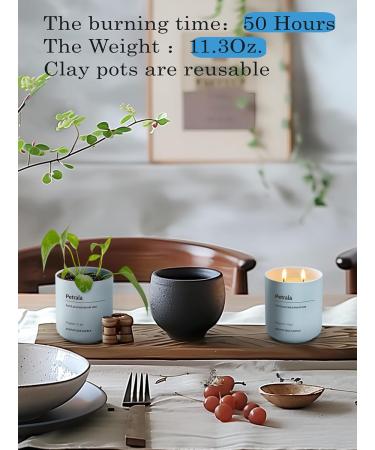 Strong Scented Sandalwood Candle - 11.3 Oz | 50 Hours Burn Time | Elegant Home Decor & Gift for Women - Buy Online on GoSupps.com