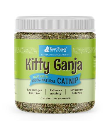 Raw Paws Pet Natural Catnip for Cats, 1-oz Premium Catnip - Loose Catnip Leaf - Potent Catnip Refill for Mice, Fish, Banana & Kicker Toys - Cat Catnip Herb Dried - Cat Nip Cat