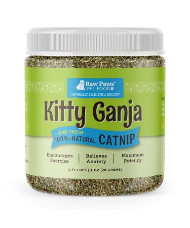 Raw Paws Pet Natural Catnip for Cats, 1-oz Premium Catnip - Loose Catnip Leaf - Potent Catnip Refill for Mice, Fish, Banana & Kicker Toys - Cat Catnip Herb Dried - Cat Nip Cat - Buy Online on GoSupps.com