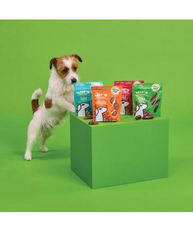 Lily's Kitchen Turkey & White Fish Treats for Seniors - 8 x 70g | Healthy Dog Snacks & International Shipping - Buy Online on GoSupps.com