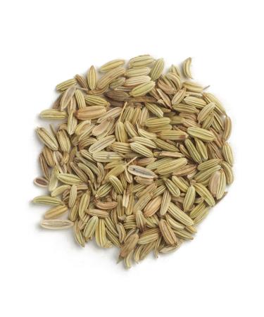 Frontier Fennel Seed Whole 16 oz Bags - Pack of 2 | Premium Quality Spice - Buy Online on GoSupps.com