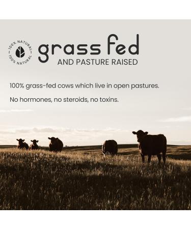 VitaBright Bovine Collagen Peptides Powder 500g - 50 Servings | Pure Hydrolysed Type 1 & 3 with 19 Amino Acids | High Essential Amino Acids & BCAAs | Halal & Kosher Certified | Made in UK - Buy Online on GoSupps.com