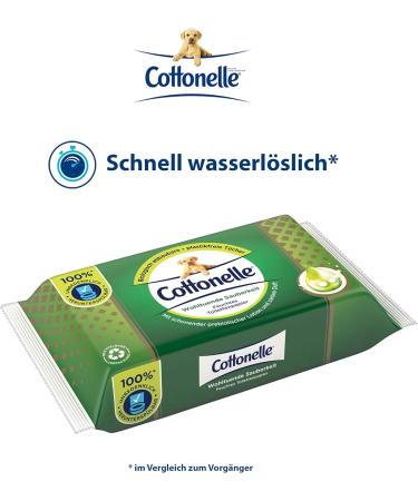 Cottonelle Moist Toilet Paper Wipes | Biodegradable & Plastic-Free | Soothing Cleanliness with Prebiotic Lotion | 38 Wet Wipes in 1 Pack - Buy Online on GoSupps.com