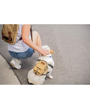 BoxDog Matching Dog Backpack and Human Backpack Set | Travel Camping Hiking Canvas and Leather Dog Backpack | Dog Park Backpack and Dog Saddlebag (Dog Backpack, One Size Fits All) Dog Backpack One Size Fits All