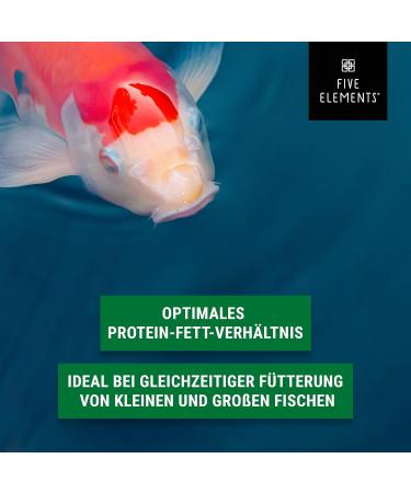Five Elements Koi Sink Plus - 6.0 kg | Premium Spring Koi Feed | High-Quality Ingredients for Healthy Koi - Buy Online on GoSupps.com