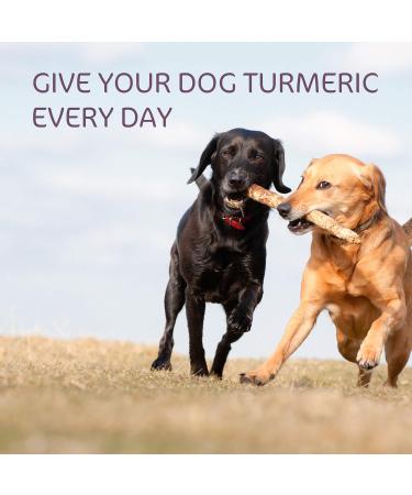 Bob & Lush Broccoli and Turmeric Natural Defense for Dogs Anti-Inflammatory Dog Snack 12 x 200g - Buy Online on GoSupps.com