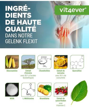 Gelenk Flexit - 180 g lules - Complexe hautement dos avec glucosamine + MSM + extrait d'encens + chondro tine + curcuma + querc tine + L-m thionine + brom la ne + vitamine C - Sans additifs Go t Neutre - Buy Online on GoSupps.com