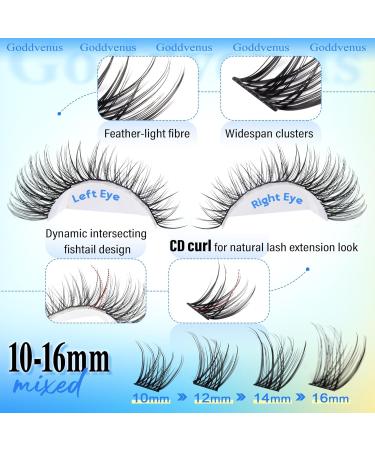 Goddvenus Wispy Lash Clusters - Natural CD Curl Eyelash Extensions DIY Invisible Band Fluffy Individual Lashes for Stunning Eyes - Buy Online on GoSupps.com