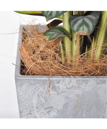 Luoji Bird Nesting Material Natural Coconut Fiber Comfortable Bedding For Small Birds And Animals Great For Nest Building And Hideouts - 100g - Buy Online on GoSupps.com