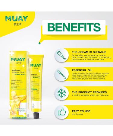 Namman Muay Thai Boxing Cream Analgesic Balm Massage Relief Ache 100g ( Pack of 3) - Buy Online on GoSupps.com