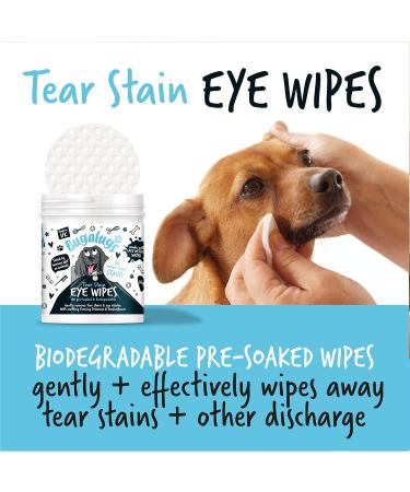 BUGALUGS Dog Eye Wipes 100 Biodegradable textured pre-soaked Dog Wipes. Safe & Easy Cleaning For Dogs - Pet Eye Wipes Remove Tear Stains Dog Eye Crust & Eye Discharge - Buy Online on GoSupps.com