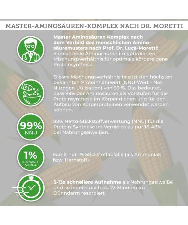 QIDOSHA Master Amino Acids Complex - 100% Vegan 8 Essential Aminos 360 Pressed Tablets 99% Nitrogen Recycling | International Shipping - Buy Online on GoSupps.com