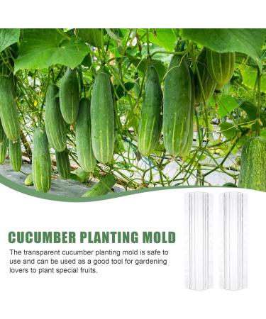 jojofuny 3Pcs Fruit Shaper Vegetable Forming Mould Tool Fruit Stereotypes for 20x6cm As Shown - Buy Online on GoSupps.com