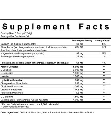 Buy BCAA Powder with Glutamine & Electrolytes - Citrus Punch | 30 Servings for Recovery & Hydration - International Shipping Available - Buy Online on GoSupps.com